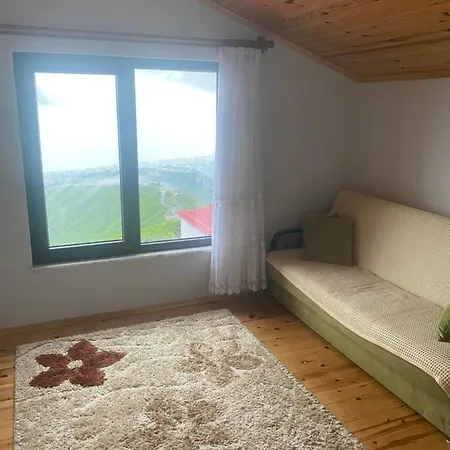 Alsaleh Akcakale Trabzon